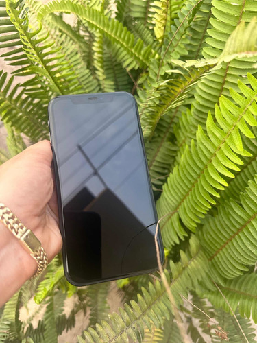 Celular iPhone 11 (Usado)