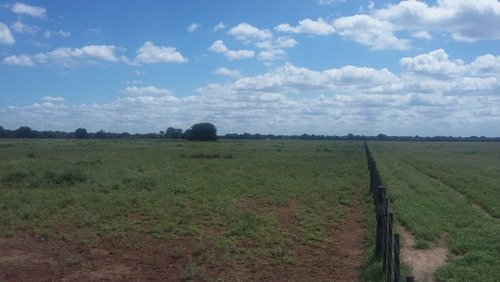 Imagen 12 de 30 de Se Vende Campo En Cordoba Listo Para Trabajarlo