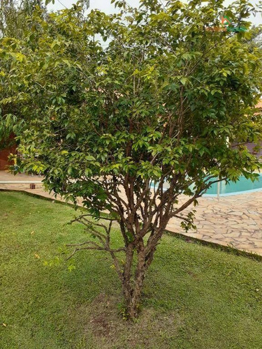 Chácara Com 3 Dormitórios À Venda, 1250 M² Por R$ 950.000,00 - Jardim Nossa Senhora Salete - Araçoiaba Da Serra/sp - Ch0229