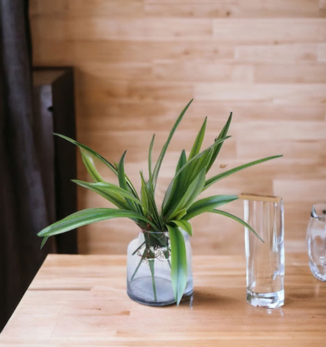 Cymbidium Leaf Planta Artificial Vara Rama Con Raíz Natural
