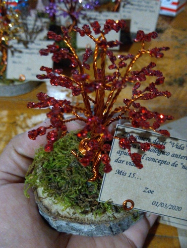 50 Arbolitos De 9cm + Arbol Central De 20cm