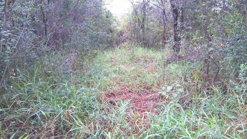 Imagem 13 de 15 de Terreno Para Venda Em Esmeraldas, Ipê Amarelo - T01_1-1005664