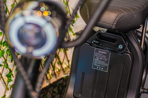 Imagem 6 de 12 de Scooter Eletrica 1500 Gloov