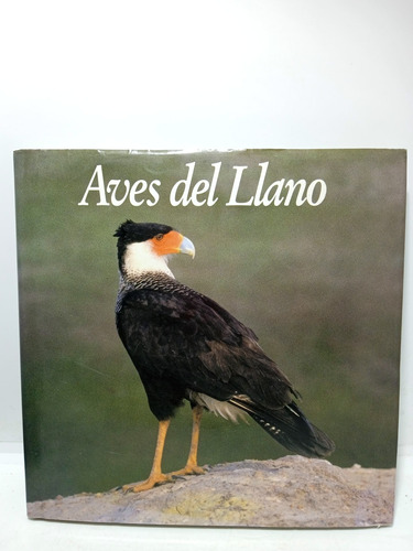Imagen 1 de 5 de Aves Del Llano - Fauna Colombia - Ambiente Colombia