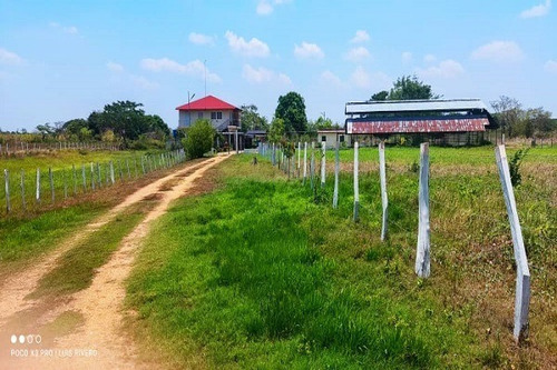 Imagen 8 de 11 de Rp Asein1110 Vende Hermosa Finca En Achagua, Estado Apure. Venezuela