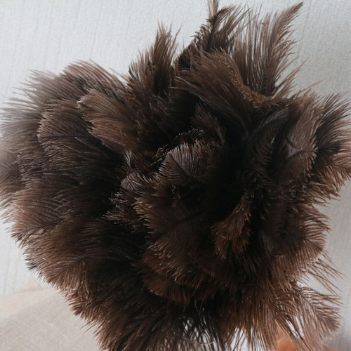 Plumero De Plumas, Plumas De Avestruz, Mango De Madera