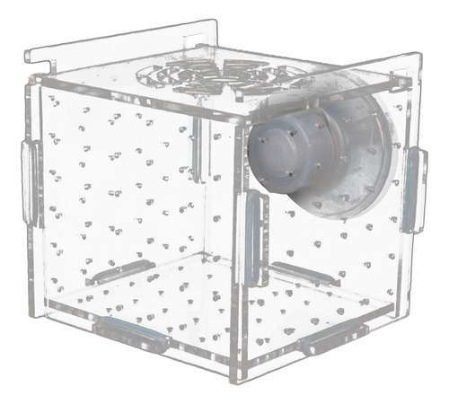 Caja De Cría De Peces, Caja De Incubadora Para 8cmx8cmx8cm