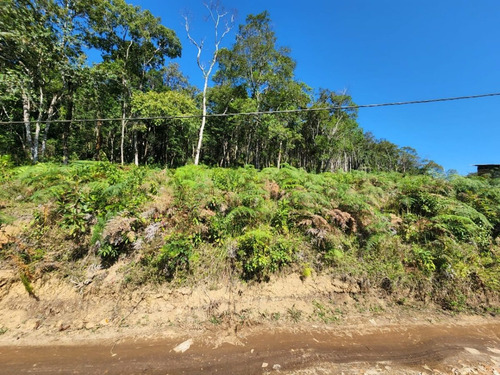 Imagem 10 de 11 de Terreno Excelente Em Jquuitiba