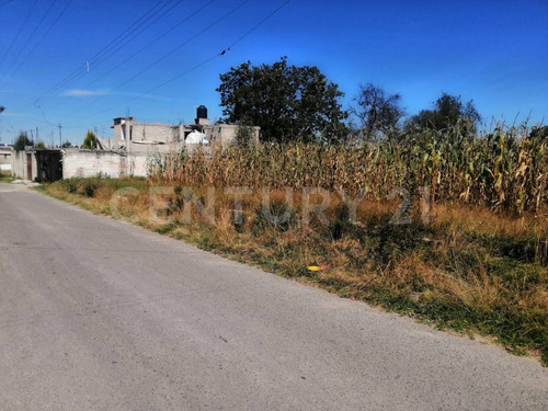 Terreno En Venta Amaxac De Guerrero, Tlaxcala