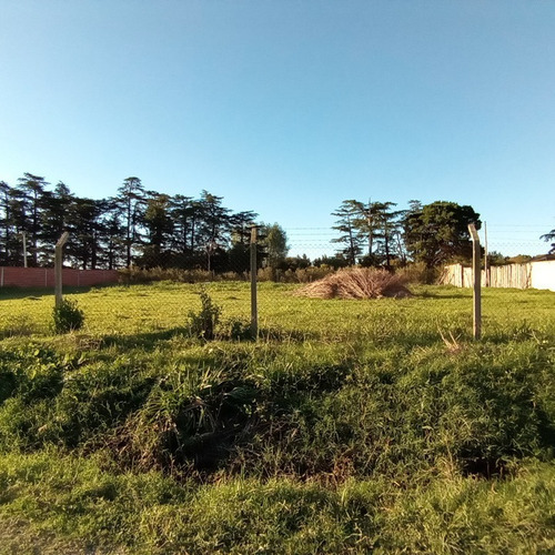 Imagen 3 de 3 de Terreno En Venta Lima, Zarate.