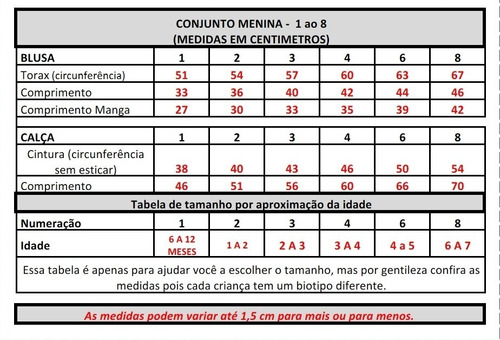 Kit 5 Conjunto Infantil Menina Roupas Femininas Frio Baratas