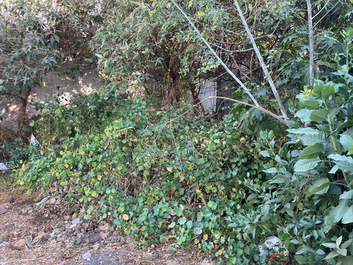 Terreno De 125 Metros Cuadrados En San Andres Totoltepec