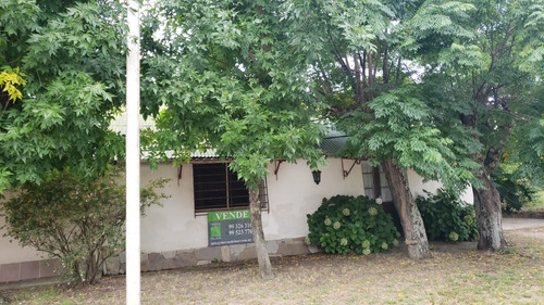 Imagen 3 de 14 de Casa En Venta En Puerto Conchillas.