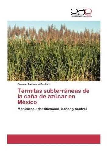 Termitas Subterraneas De La Cana De Azucar En Mexico - Pa...