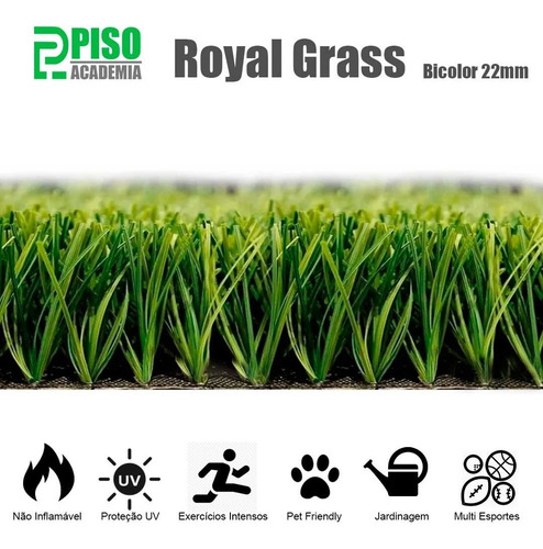 Grama Sintética Royal Grass 22mm 2x3m (6m²) Bicolor Real