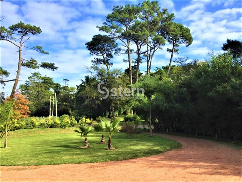 Imagen 2 de 22 de Casa En Venta Punta Del Este Playa Mansa