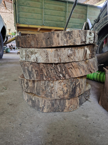 Rodajas Madera Tronco Grandes