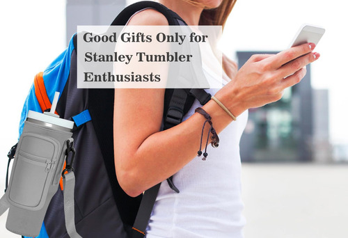 Bolsa Portavasos Para Vaso Stanley Quencher De 900 Ml