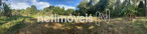 Imagem 12 de 13 de Venda Chácara Parque Da Barragem Águas Lindas De Goiás - 864442