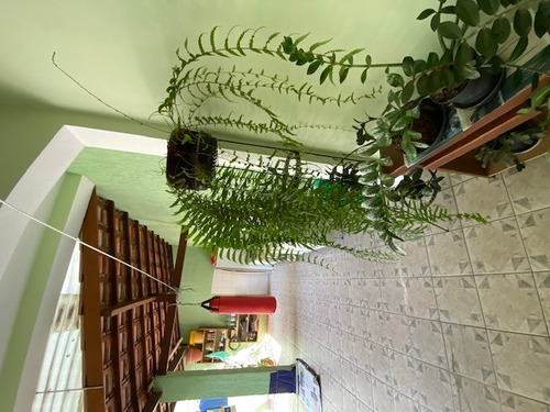 Imagem 10 de 14 de Vendo Casa Térrea 3 Dormitórios 3 Suites -vila São Francisco