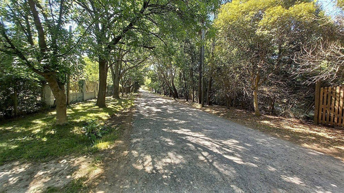Imagen 23 de 27 de 303 E/50 Y 52 - El Rodeo Quinta C/pileta - Baum Propiedades