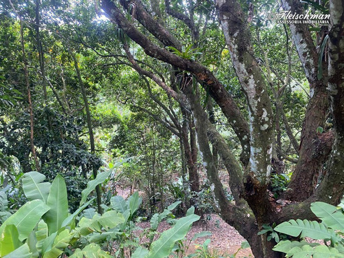 Chácara Com 3 Dormitórios À Venda, 12974 M² Por R$ 1.050.000,00 - Aldeia - Camaragibe/pe - Ch0026