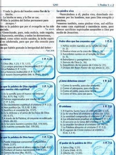 Imagen 5 de 9 de La Biblia Para La Predicación Reina Valera 1960