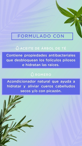 Imagen 4 de 7 de Hask Shampoo Tea Tree & Rosemary 355 Ml