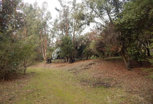 Quilpue, Hermosa Parcela