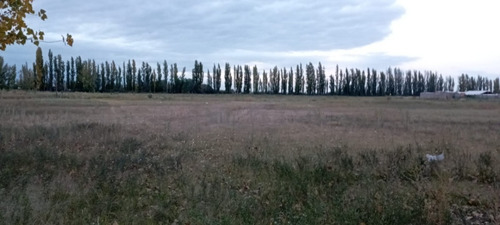 Imagen 3 de 10 de Terreno Ideal Para Fraccionamiento