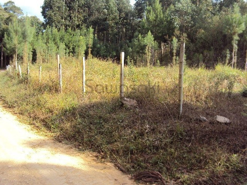 Chácara A Venda No Bairro Centro Em Mandirituba - Pr. - 5255-1