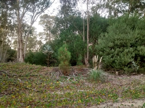 Imagen 8 de 9 de La Esmeralda, Rocha, Uruguay, Venta, Lote, Terreno, Solar.