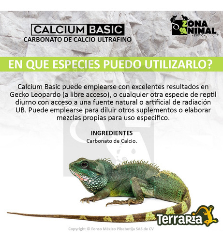 Calcio Ultrafino Terraria Reptiles Sin D3 Calcium Basic 60