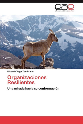 Libro: Organizaciones Resilientes: Una Mirada Hacia Su Confo
