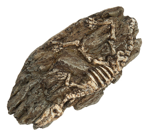 Adorno De Resina Para Acuario Con Diseño De Fósil De Dinosau