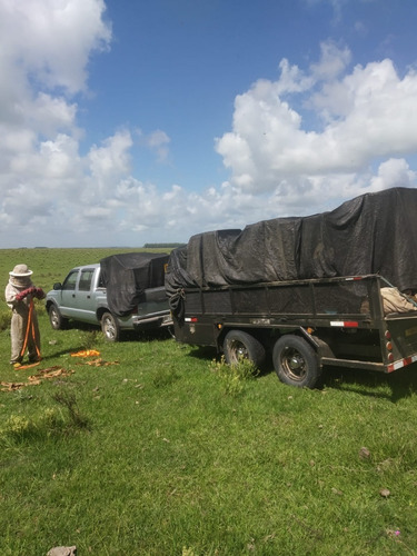 Imagen 15 de 17 de Trailer Para Pallet O Cajones 3.500kg Doble Eje Nuevos