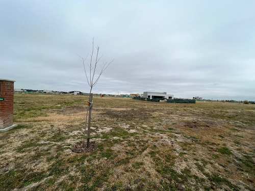 Imagen 2 de 5 de Lote En Venta De 630m2 Ubicado En San Vicente