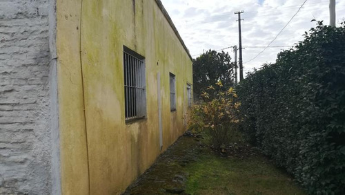 Chacra. San Pedro. Colonia.