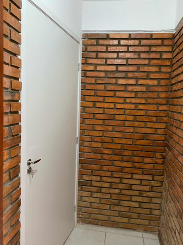 Sobrado Zona Sul Com 2 Apartamentos, Terraço, Lareira,pomar