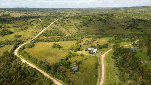 Chacra En Venta Maldonado, Gran Tapera Rec. 240m De Arroyo (ref: Bpv-10530)