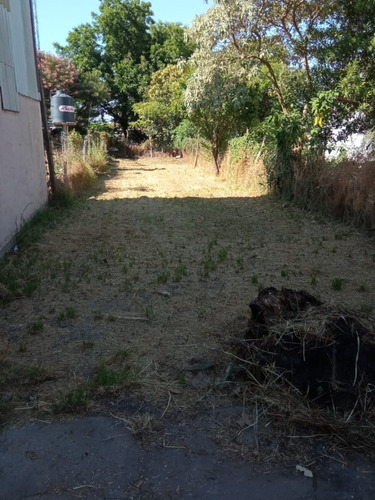 Imagen 10 de 10 de Vendemos Casa. Republica Argentina 1915 | Inmobiliaria Mannise