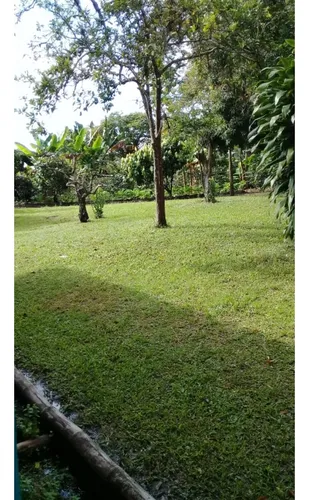 Se Vende Lote En Quimbaya Quindío