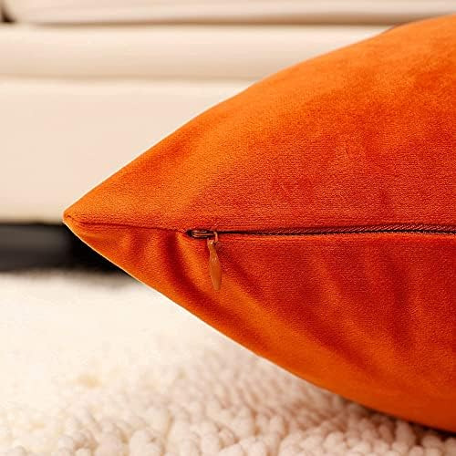 Mzpso Juego De 2 Fundas De Cojines Cuadradas Decorativas De