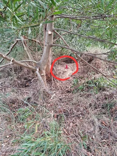 Terreno En La Esmeralda M325 S8 En La Esmeralda