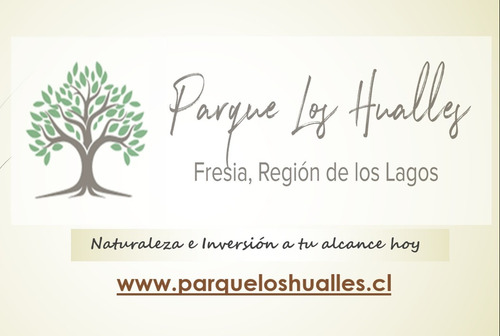 Loteo Parque Los Hualles, Fresia, Urbanización Soterrada