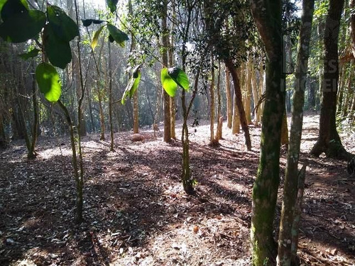 Imagem 6 de 7 de Cód 3865- Terreno De 1480 M². Em Ibiúna - 3865