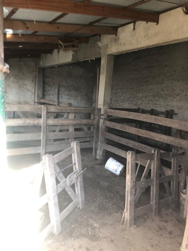 Imagen 13 de 17 de Quinta En Venta En Florencio Varela
