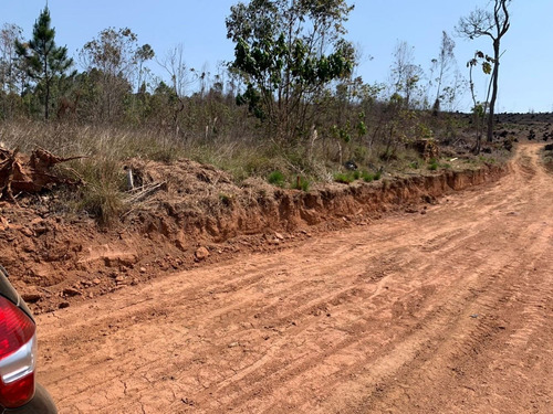 Imagem 9 de 14 de Jl-terreno Água E Plantação