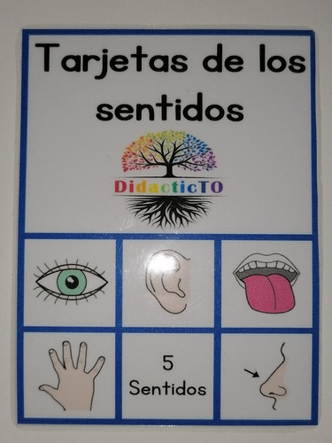 Tarjetas De Los Sentidos Didactict.o