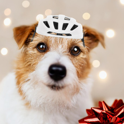Casco De Seguridad Ajustable Para Mascotas Para Perros Peque